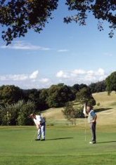 Golfing in Waterford